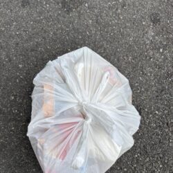 清掃活動：ハネやチヌ、ガシラ好調でした