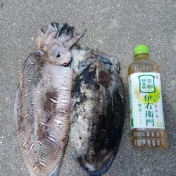 狙いちゃうけど満足!!