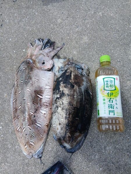 狙いちゃうけど満足!!