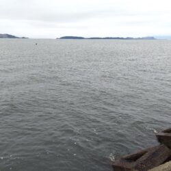 今年イチの数釣り