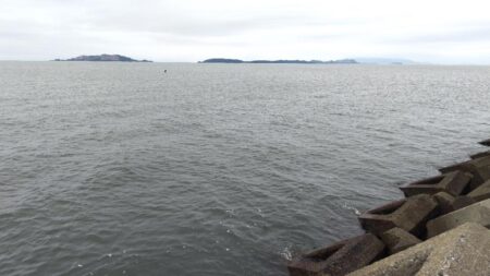 今年イチの数釣り