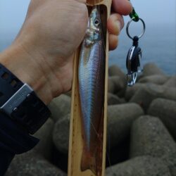 三重釣行1