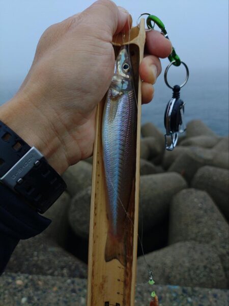 三重釣行1