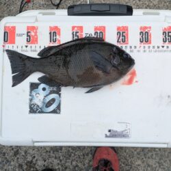 フカセ釣り