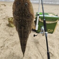 キス狙ってキスの泳がせ