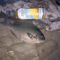 残り場所には福がある。