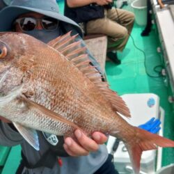 泉州丸　釣果