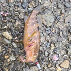 雨上がりの一撃