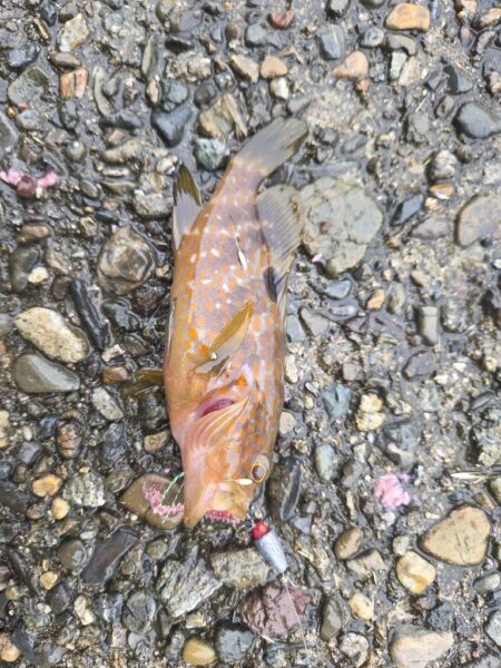 雨上がりの一撃