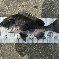 イチノ兄弟、釣果!
