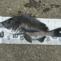 イチノ兄弟、釣果！
