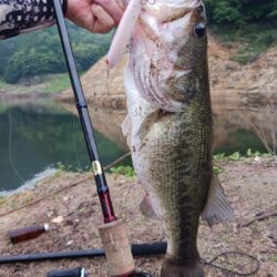 デカバス連発！