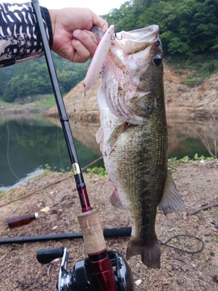 デカバス連発！