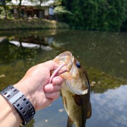 水面