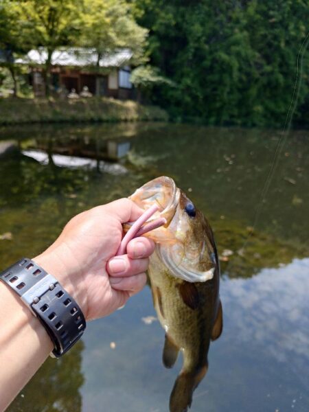 水面