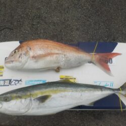 落とし込み第一戦〜きしゅう丸〜