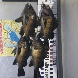 久々のテトラまわりのメバリング