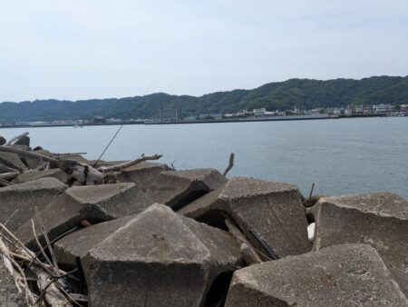 キス釣りが面白い