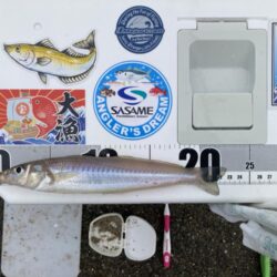 淡路島釣行