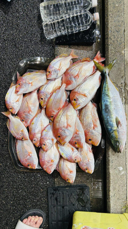 マイボートでアマダイ釣行