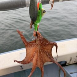 反省だらけのタコ釣り