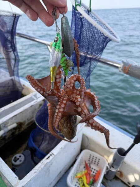 マダコ釣り