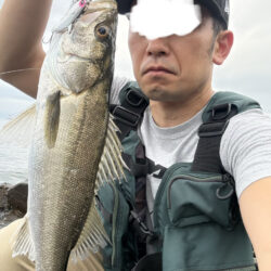安心の実績ディモル70