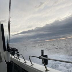 潮ぶっ飛びタイラバロッドでイカ