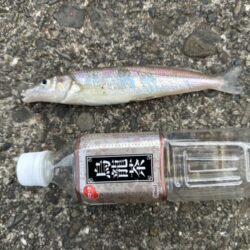 投げ釣り