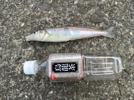 投げ釣り