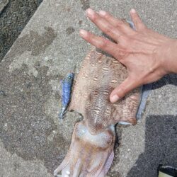 狙いちゃうけど満足!!