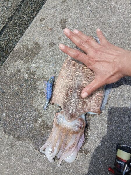 狙いちゃうけど満足!!