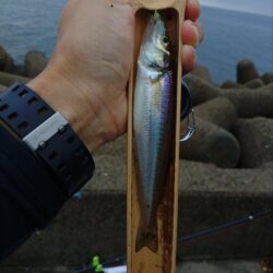 三重釣行1