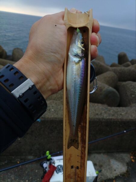 三重釣行1