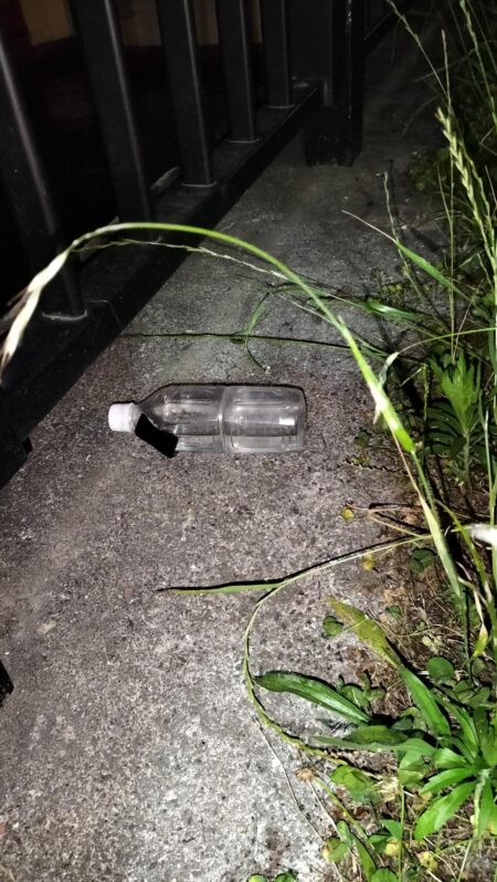 台風前にウナギ釣り