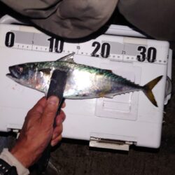 電気ウキ釣り 15