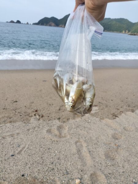 キス釣り