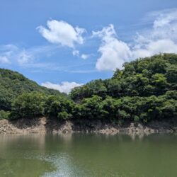 大雨あとの水質チェック