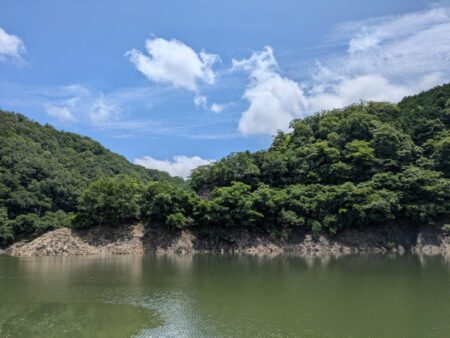 大雨あとの水質チェック