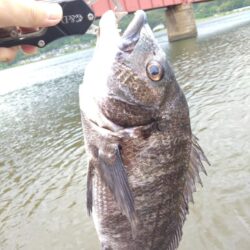 2バラシの末に…