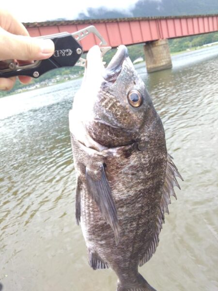 2バラシの末に…