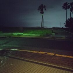 台風直前アジ釣り
