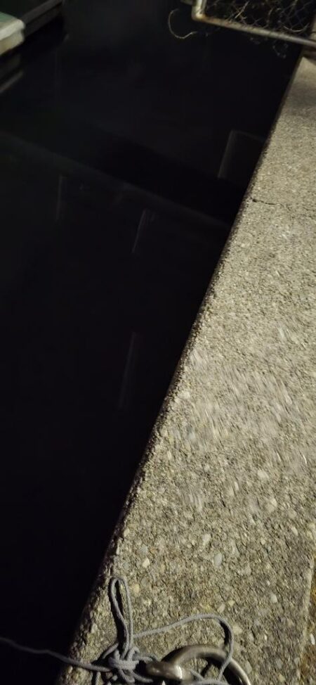 夜の釣行