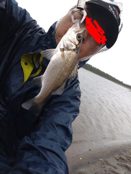 ソゲとヒラセイゴが釣れました!
