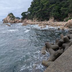 ロックフィッシュを求めて