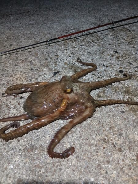 大荒れの釣行