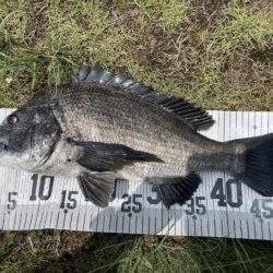 イチノ兄弟、釣果!