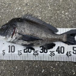イチノ兄弟、釣果！
