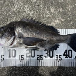 イチノ兄弟、釣果！
