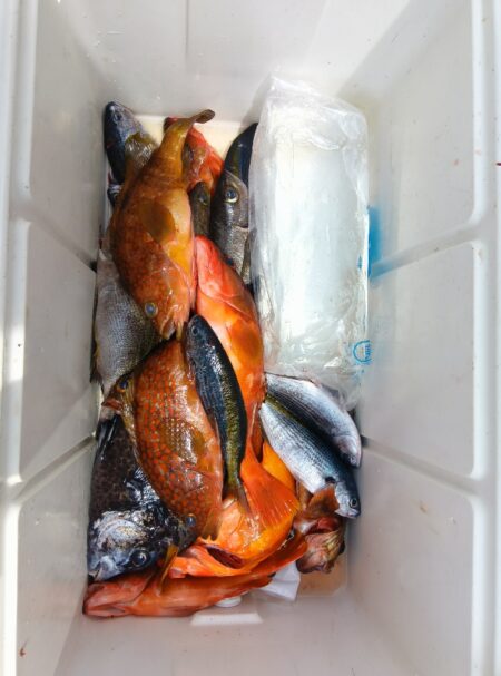 磯釣行
